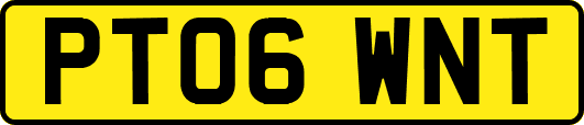PT06WNT