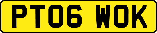PT06WOK