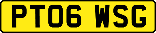PT06WSG
