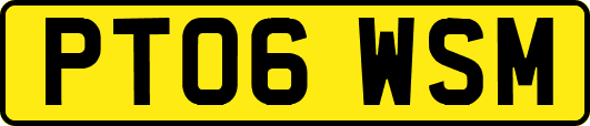 PT06WSM