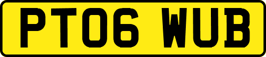 PT06WUB