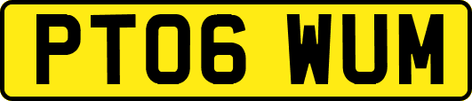 PT06WUM