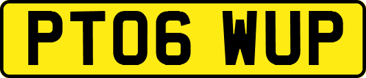 PT06WUP