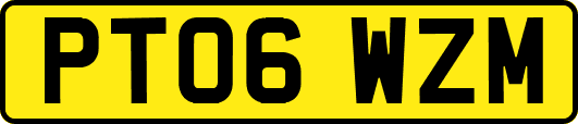 PT06WZM