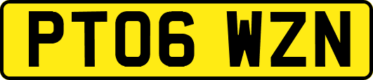 PT06WZN
