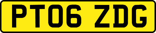 PT06ZDG