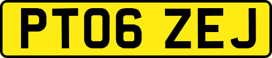 PT06ZEJ