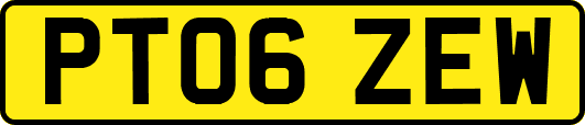 PT06ZEW