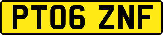 PT06ZNF