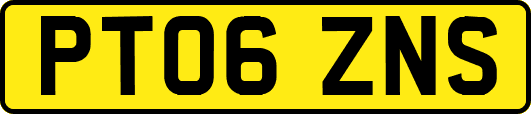 PT06ZNS