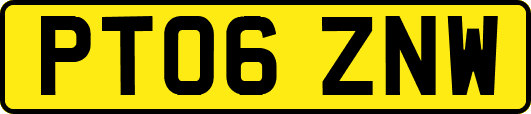 PT06ZNW