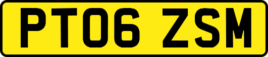 PT06ZSM