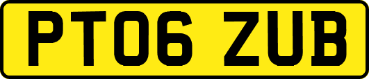 PT06ZUB