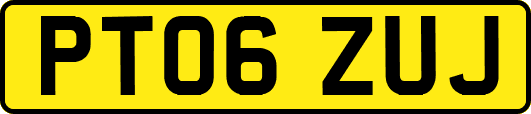 PT06ZUJ