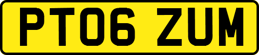 PT06ZUM