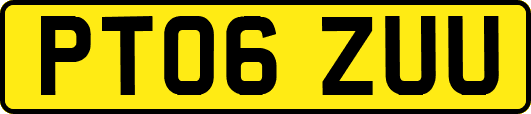 PT06ZUU
