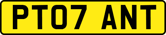 PT07ANT