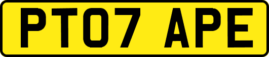 PT07APE