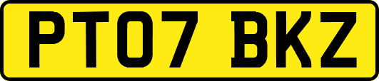PT07BKZ