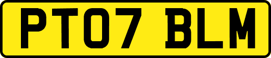 PT07BLM