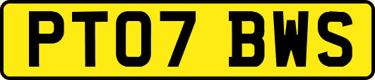 PT07BWS
