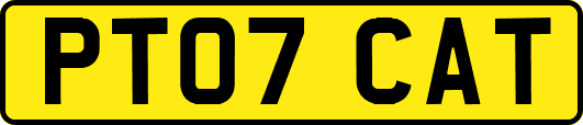 PT07CAT