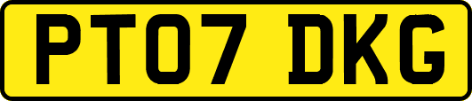 PT07DKG