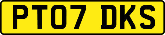PT07DKS