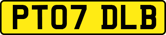 PT07DLB