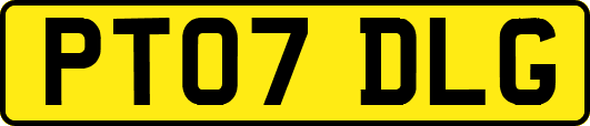 PT07DLG