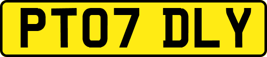 PT07DLY