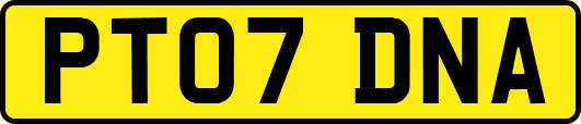 PT07DNA