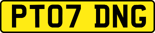PT07DNG