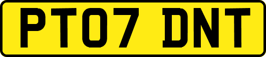PT07DNT
