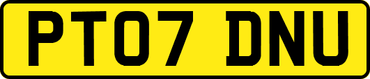 PT07DNU