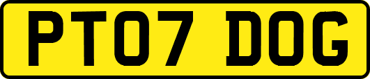 PT07DOG
