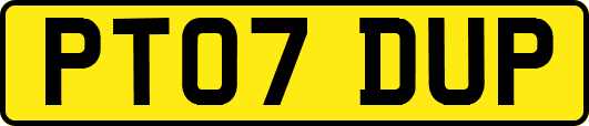 PT07DUP