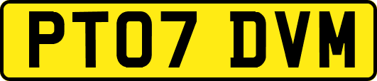PT07DVM