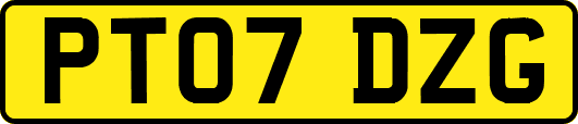 PT07DZG
