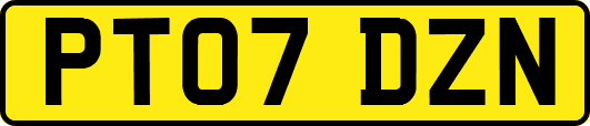 PT07DZN