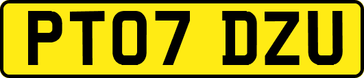 PT07DZU