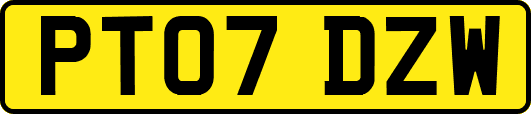 PT07DZW
