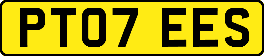 PT07EES