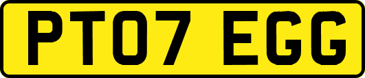 PT07EGG