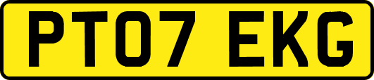 PT07EKG