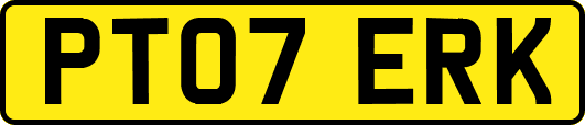PT07ERK