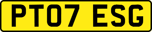 PT07ESG