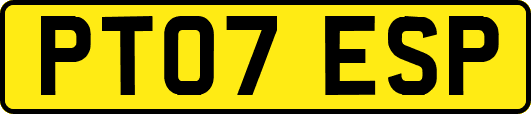 PT07ESP