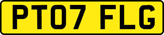 PT07FLG