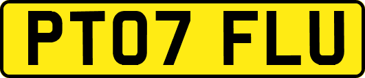 PT07FLU